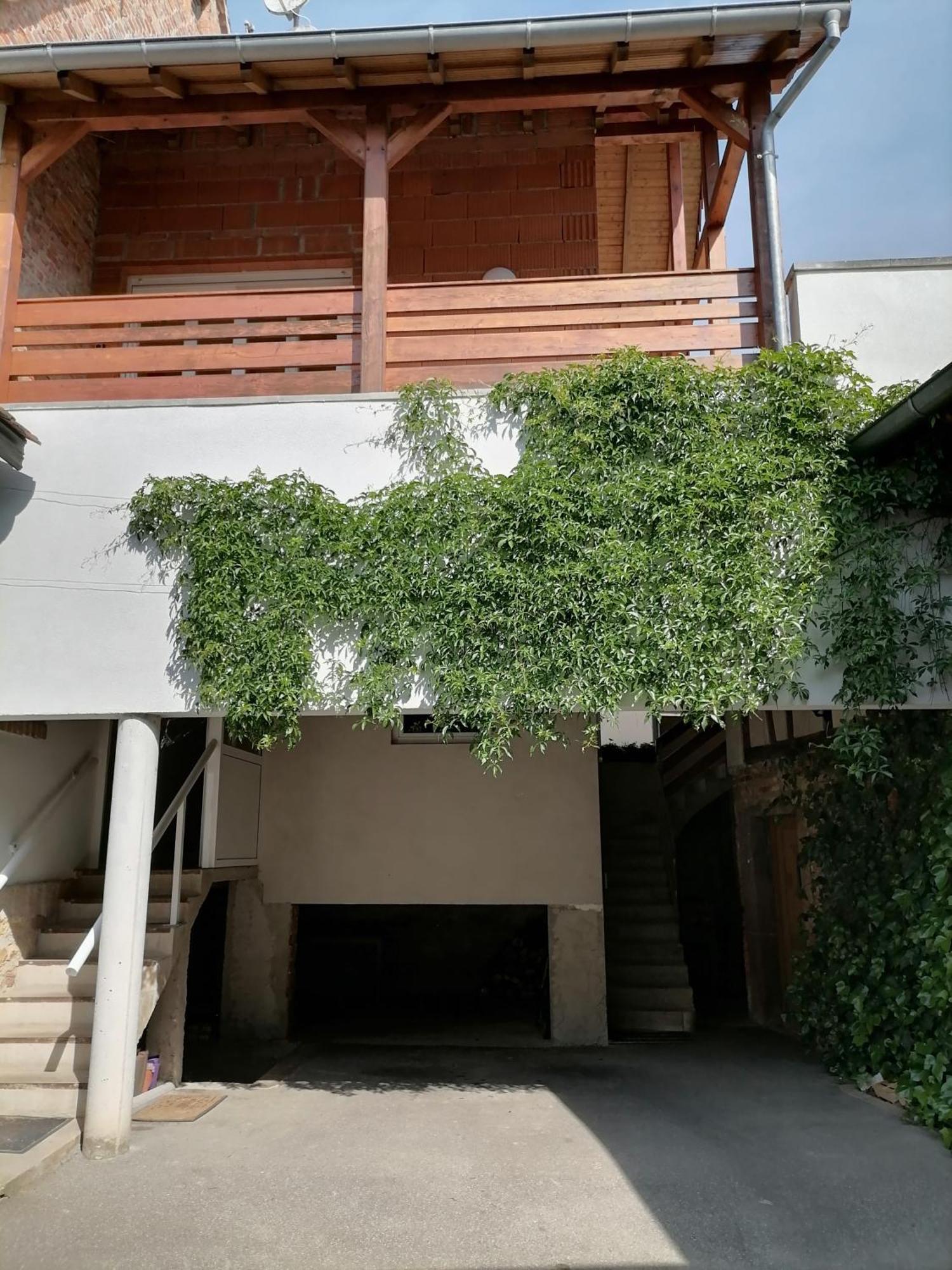 Appartement Et Terrasse Privee Ingolsheim Buitenkant foto