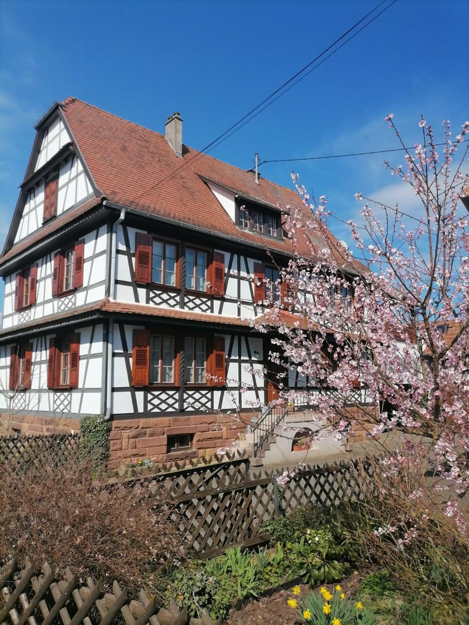 Appartement Et Terrasse Privee Ingolsheim Buitenkant foto